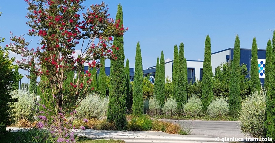 giardino Gianluca Tramutola